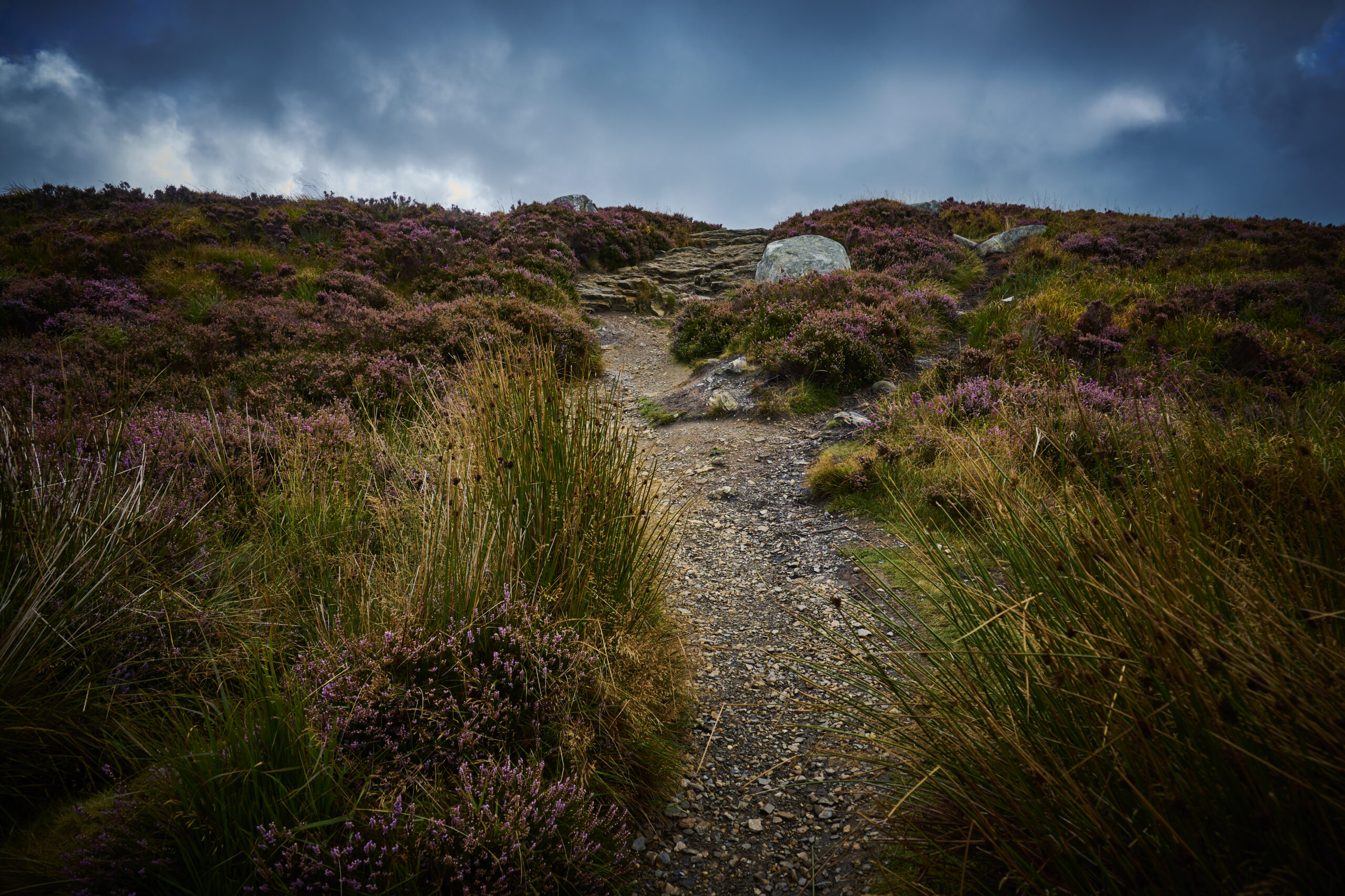 Irish mountain nature