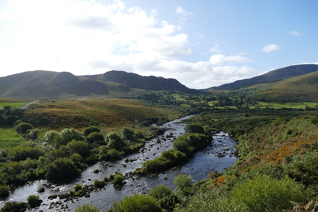 Biodiversity Action Plans and Biodiversity Management Plans Ireland – FitzgGerald Ecology