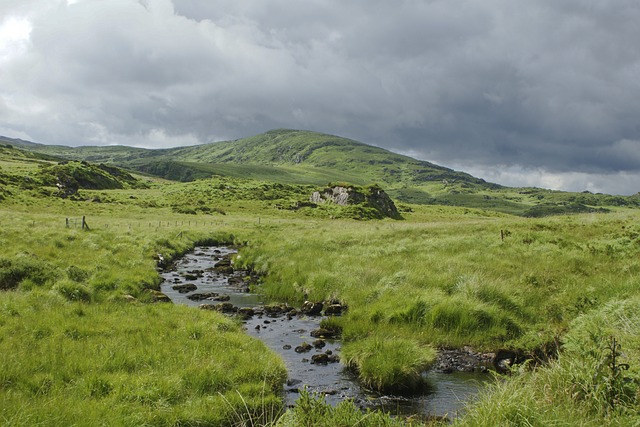 Vegetation Research